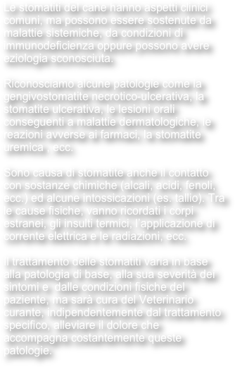 Le stomatiti del cane hanno aspetti clinici comuni, ma possono essere sostenute da malattie sistemiche, da condizioni di immunodeficienza oppure possono avere eziologia sconosciuta. 

Riconosciamo alcune patologie come la gengivostomatite necrotico-ulcerativa, la stomatite ulcerativa, le lesioni orali conseguenti a malattie dermatologiche, le reazioni avverse ai farmaci, la stomatite uremica , ecc.

Sono causa di stomatite anche il contatto con sostanze chimiche (alcali, acidi, fenoli, ecc.) ed alcune intossicazioni (es. tallio). Tra le cause fisiche, vanno ricordati i corpi estranei, gli insulti termici, l’applicazione di corrente elettrica e le radiazioni, ecc.

Il trattamento delle stomatiti varia in base alla patologia di base, alla sua severità dei sintomi e  dalle condizioni fisiche del paziente, ma sarà cura del Veterinario curante, indipendentemente dal trattamento specifico, alleviare il dolore che accompagna costantemente queste patologie.