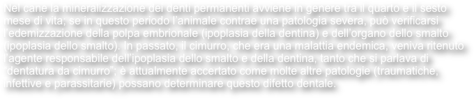 Nel cane la mineralizzazione dei denti permanenti avviene in genere tra il quarto e il sesto mese di vita; se in questo periodo l’animale contrae una patologia severa, può verificarsi l’edemizzazione della polpa embrionale (ipoplasia della dentina) e dell’organo dello smalto (ipoplasia dello smalto). In passato, il cimurro, che era una malattia endemica, veniva ritenuto l’agente responsabile dell’ipoplasia dello smalto e della dentina, tanto che si parlava di “dentatura da cimurro”; è attualmente accertato come molte altre patologie (traumatiche, infettive e parassitarie) possano determinare questo difetto dentale.