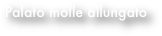Palato molle allungato