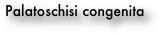 Palatoschisi congenita