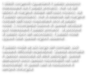 I difetti congeniti riguardanti il palato possono interessare sia il palato primario, che va dal labbro al margine distale dell’osso incisivo, sia il palato secondario, che si estende dal margine rostrale dell’osso mascellare sino al palato molle. L’incompleta fusione di queste strutture può interessare il palato primario , la porzione di palato duro del secondario, il palato molle oppure tutte queste regioni assieme .

Il palato molle se più lungo del normale, può causare difficoltà respiratorie. Questa anomalia è spesso associata ad altre patologie, queste alterazioni sono spesso riscontrabili nei cani brachicefali. In questi casi la risoluzione è sempre chirurgica