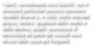 I denti, normalmente sono bianchi, ma in situazioni particolari possono assumere tonalità diverse e, a volte, molto marcate: placca, tartaro, ipoplasia dello smalto e della dentina, pulpiti, assunzione di tetracicline da parte dei cuccioli sono alcune delle cause più frequenti.
