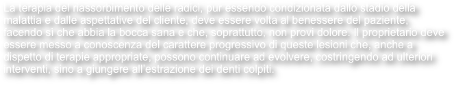 La terapia del riassorbimento delle radici, pur essendo condizionata dallo stadio della malattia e dalle aspettative del cliente, deve essere volta al benessere del paziente, facendo sì che abbia la bocca sana e che, soprattutto, non provi dolore. Il proprietario deve essere messo a conoscenza del carattere progressivo di queste lesioni che, anche a dispetto di terapie appropriate, possono continuare ad evolvere, costringendo ad ulteriori interventi, sino a giungere all’estrazione dei denti colpiti.