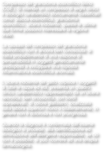 Complesso del granuloma eosinofilico felino (CGE): Si intende un complesso di segni clinici e istologici caratteristici storicamente classificati come: placca eosinofilica, granuloma eosinofilico, ulcera indolente, queste le ultime due forme possono interessare la regione orale.

La causasi del complesso del granuloma eosinofilico non è ancora ben conosciuta: si tratta probabilmente di una reazione di ipersensibilità in soggetti geneticamente predisposti a sviluppare una risposta infiammatoria eosinofilica anomala.

L’ulcera indolente del gatto colpisce i soggetti di tutte le razze ed età, presenta un quadro clinico caratteristico rappresentato da un’ulcera necrotica, ben circoscritta, con bordi sopraelevati, di colore giallastro, localizzata sulla labbra superiori mono o bilateralmente, in genere non è dolorosa e non pruriginosa.

Quando la diagnosi è confermata dall’esame istologico si procede, alla identificazione ed eliminazione dell’allergene responsabile, se ciò non è possibile, si può ricorrere ad una terapia farmacologica.