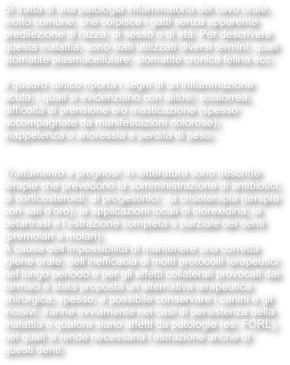 Si tratta di una patologia infiammatoria del cavo orale, molto comune, che colpisce i gatti senza apparente predilezione di razza, di sesso o di età. Per descrivere questa malattia, sono stati utilizzati diversi termini, quali stomatite plasmacellulare, stomatite cronica felina ecc. 

Il quadro clinico riporta i segni di un’infiammazione acuta, i quali si evidenziano con alitosi, scialorrea, difficoltà di prensione e/o masticazione (spesso accompagnate da manifestazioni dolorose), inappetenza o anoressia e perdita di peso. 


Trattamento e prognosi: in letteratura sono descritte terapie che prevedono la somministrazione di antibiotici, di corticosteroidi, di progestinici , la crisoterapia (terapia con sali d’oro), le applicazioni locali di clorexidina, la detartrasi e l’estrazione completa o parziale dei denti (premolari e molari).
A causa dell’impossibilità di mantenere una corretta igiene orale, dell’inefficacia di molti protocolli terapeutici nel lungo periodo e per gli effetti collaterali provocati dai farmaci è stata proposta un’alternativa terapeutica chirurgica, spesso, è possibile conservare i canini e gli incisivi, tranne ovviamente nei casi di persistenza della malattia o qualora siano affetti da patologie (es. FORL), nei quali si rende necessaria l’estrazione anche di questi denti.