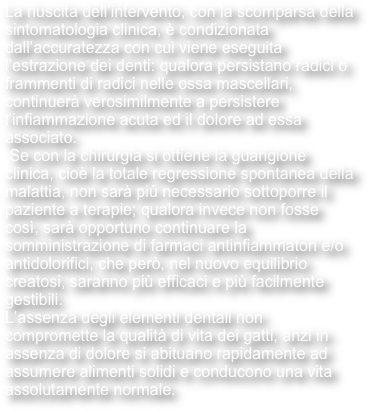 La riuscita dell’intervento, con la scomparsa della sintomatologia clinica, è condizionata dall’accuratezza con cui viene eseguita l’estrazione dei denti: qualora persistano radici o frammenti di radici nelle ossa mascellari, continuerà verosimilmente a persistere l’infiammazione acuta ed il dolore ad essa associato. 
 Se con la chirurgia si ottiene la guarigione clinica, cioè la totale regressione spontanea della malattia, non sarà più necessario sottoporre il paziente a terapie; qualora invece non fosse così, sarà opportuno continuare la somministrazione di farmaci antinfiammatori e/o antidolorifici, che però, nel nuovo equilibrio creatosi, saranno più efficaci e più facilmente gestibili.
L’assenza degli elementi dentali non compromette la qualità di vita dei gatti, anzi in assenza di dolore si abituano rapidamente ad assumere alimenti solidi e conducono una vita assolutamente normale.