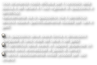 Uno strumento molto efficace per il controllo della placca e del tartaro è l’uso regolare di spazzolino e dentifricio.
Naturalmente sia lo spazzolino che il dentifricio devono essere specificatamente studiati per cani e gatti:

 lo spazzolino deve avere forma e dimensioni adeguate al cavo orale del cane o del gatto
 il dentifricio deve avere un sapore gradevole (in genere sono aromatizzati al gusto di carne) 
 vanno assolutamente evitati prodotti per uso umano