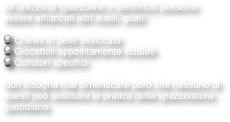 All’utilizzo di spazzolino e dentifricio possono essere affiancati altri ausili, quali:

 Chews in pelle essiccata
 Giocattoli appositamente studiati
 Collutori specifici

Non bisogna mai dimenticare però che nessuno di questi può sostituire la pratica della spazzolatura quotidiana