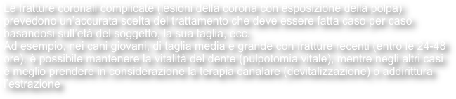 Le fratture coronali complicate (lesioni della corona con esposizione della polpa) prevedono un’accurata scelta del trattamento che deve essere fatta caso per caso basandosi sull’età del soggetto, la sua taglia, ecc.
Ad esempio, nei cani giovani, di taglia media e grande con fratture recenti (entro le 24-48 ore), è possibile mantenere la vitalità del dente (pulpotomia vitale), mentre negli altri casi è meglio prendere in considerazione la terapia canalare (devitalizzazione) o addirittura l’estrazione