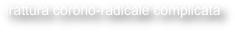 frattura corono-radicale complicata