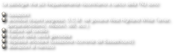 Le patologie che più frequentemente riscontriamo a carico della TNJ sono:

 lussazioni
 anchilosi (traumi pregressi, O.C.M. nel giovane West Highland White Terrier, iperparatiroidismo, infezioni, otiti, ecc.)
 fratture del condilo
 fratture della cavità glenoidea
 displasia articolare (lussazione ricorrente del Bassethound) 
 alterazioni al menisco