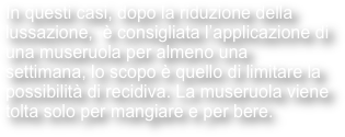 In questi casi, dopo la riduzione della lussazione,  è consigliata l’applicazione di una museruola per almeno una settimana, lo scopo è quello di limitare la possibilità di recidiva. La museruola viene tolta solo per mangiare e per bere.


