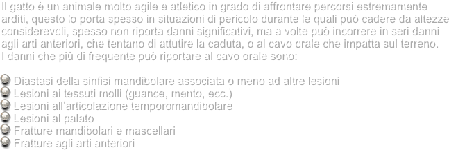 Il gatto è un animale molto agile e atletico in grado di affrontare percorsi estremamente arditi, questo lo porta spesso in situazioni di pericolo durante le quali può cadere da altezze considerevoli, spesso non riporta danni significativi, ma a volte può incorrere in seri danni agli arti anteriori, che tentano di attutire la caduta, o al cavo orale che impatta sul terreno.
I danni che più di frequente può riportare al cavo orale sono:

 Diastasi della sinfisi mandibolare associata o meno ad altre lesioni
 Lesioni ai tessuti molli (guance, mento, ecc.)
 Lesioni all’articolazione temporomandibolare
 Lesioni al palato
 Fratture mandibolari e mascellari
 Fratture agli arti anteriori