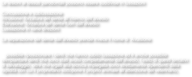 Le lesioni ai tessuti parodontali possono essere suddivise in lussazioni 

Concussione e sublussazione
Intrusione: forzatura del dente all’interno dell’alveolo
Estrusione: forzatura del dente fuori dall’alveolo
Lussazione in varie direzioni

La separazione del dente dall’alveolo prende invece il nome di :Avulsione


è possibile riposizionare i denti che hanno subito lussazione ed è anche possibile reimpiantare denti che sono stati avulsi completamente dall’alveolo, l’esito di questi tentativi di salvataggio, oltre che legati alla tecnica impiegata sono strettamente dipendenti dalla rapidità con cui il proprietario sottopone il proprio animale all’attenzione del veterinario,