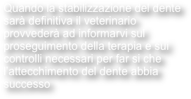 Quando la stabilizzazione del dente sarà definitiva il veterinario provvederà ad informarvi sul proseguimento della terapia e sui controlli necessari per far si che l’attecchimento del dente abbia successo