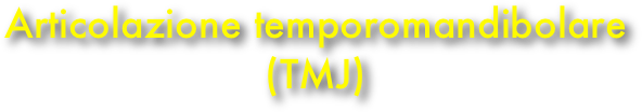 Articolazione temporomandibolare (TMJ)